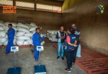New grain trading hub boosts incomes for Burundi’s smallholder farmers
