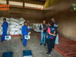 New grain trading hub boosts incomes for Burundi’s smallholder farmers