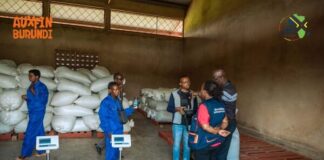 New grain trading hub boosts incomes for Burundi’s smallholder farmers