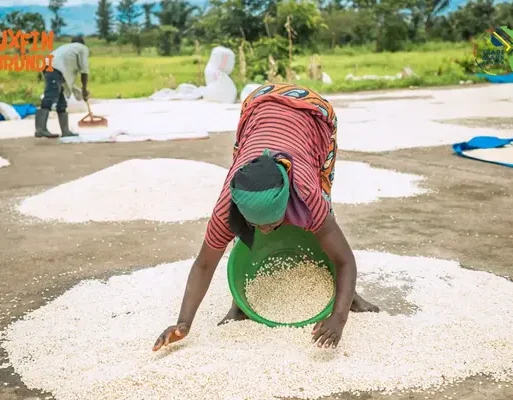Burundi grain farmers