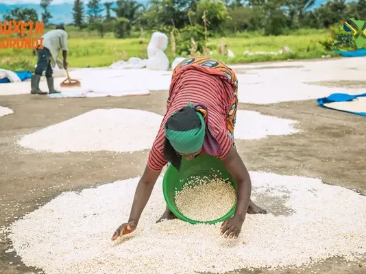 Burundi launches $100.5 million credit facility to drive agricultural investment