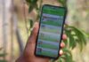 New CIFOR-ICRAF forestry app helps Eastern Africa smallholders become more climate resilient