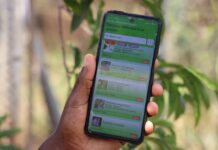 New CIFOR-ICRAF forestry app helps Eastern Africa smallholders become more climate resilient