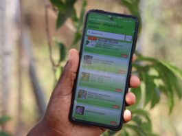 New CIFOR-ICRAF forestry app helps Eastern Africa smallholders become more climate resilient