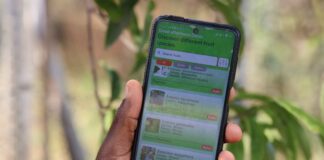 New CIFOR-ICRAF forestry app helps Eastern Africa smallholders become more climate resilient