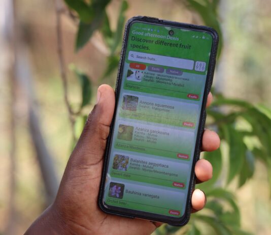 New CIFOR-ICRAF forestry app helps Eastern Africa smallholders become more climate resilient