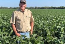How CNH Is Helping Family Farms Make Better Decisions, One Data Point at a Time