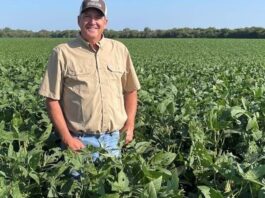 How CNH Is Helping Family Farms Make Better Decisions, One Data Point at a Time