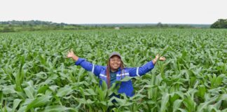 Corteva Agriscience building resilience for South African grain farmers