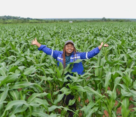 Corteva Agriscience building resilience for South African grain farmers