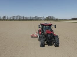 Unlocking Soil Health and Efficiency Through Direct Seeding in Sugar Beet