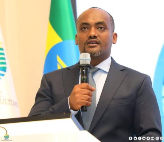 Ethiopia tops US$3 billion in coffee export earnings as government launches five-year productivity drive