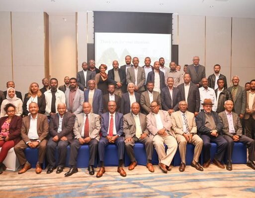 Ethiopia_carbon_market_meeting