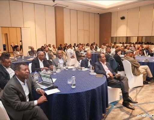Ethiopia_carbon_market_meeting_600x400