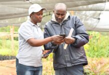 Growing hope: How fruit trees are building climate resilience and prosperity in East Africa