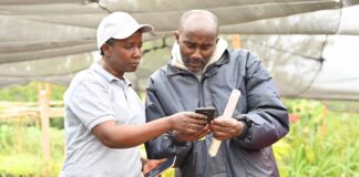 Growing hope: How fruit trees are building climate resilience and prosperity in East Africa