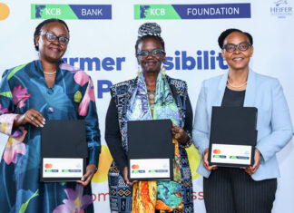 Heifer, Mastercard and KCB launch digital payments initiative for dairy farmers