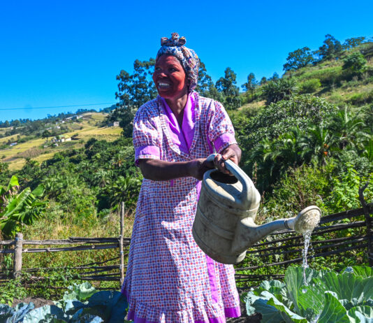 Home Gardens: A Lifeline in South Africa’s Cost-of-Living Crisis