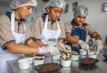 IFAD annual report: Investment at the first mile drives food security, economic growth and global stability