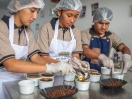 IFAD annual report: Investment at the first mile drives food security, economic growth and global stability