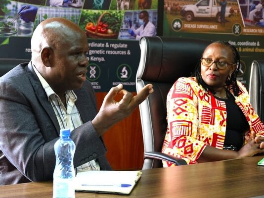 Kenya considering traditional maize-processing technology to boost food security