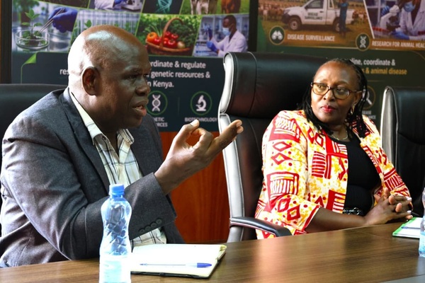 KALRO on maize nixtamalization