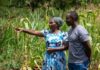 Five Years Regenerating the Land: Lessons from a Farmer in Kirinyaga, Kenya