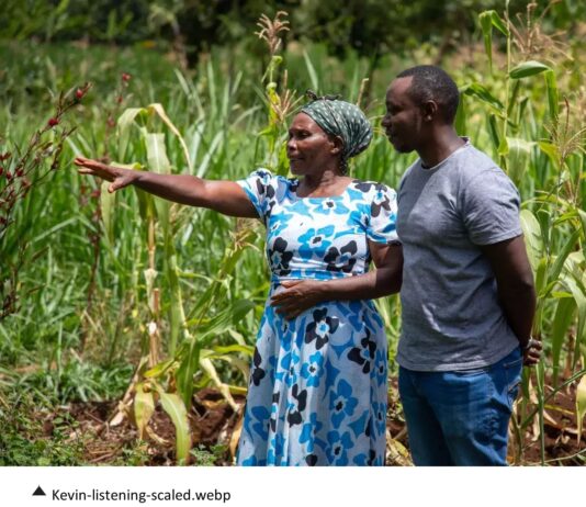 Five Years Regenerating the Land: Lessons from a Farmer in Kirinyaga, Kenya