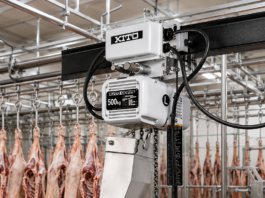 Food-grade electric chain hoists deliver safe, hygienic lifting for food processing operations.