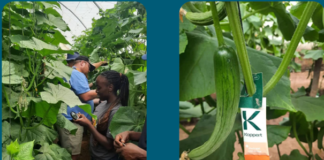 Holland Greentech’s 2025 Green Growth Report Shows €3.3M Impact — Feeding 700,000 People Through Sustainable Horticulture