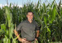 Pannar seed doubles down on farmer profitability amid rising production costs and climate uncertainty