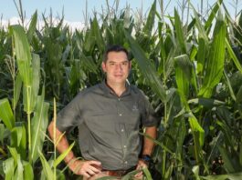 Pannar seed doubles down on farmer profitability amid rising production costs and climate uncertainty