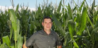 Pannar seed doubles down on farmer profitability amid rising production costs and climate uncertainty