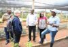 From boardrooms to tree nurseries: How a Kenyan couple grew a climate-resilient enterprise