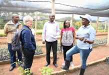From boardrooms to tree nurseries: How a Kenyan couple grew a climate-resilient enterprise