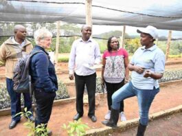 From boardrooms to tree nurseries: How a Kenyan couple grew a climate-resilient enterprise