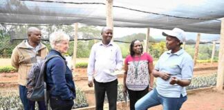 From boardrooms to tree nurseries: How a Kenyan couple grew a climate-resilient enterprise
