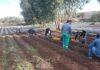 Morocco’s National Agency for Child Protection: An Opportunity to Prioritize Adolescent Autonomy
