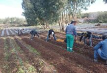 Morocco’s National Agency for Child Protection: An Opportunity to Prioritize Adolescent Autonomy