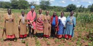 School farms boost food security in Kenya’s drylands