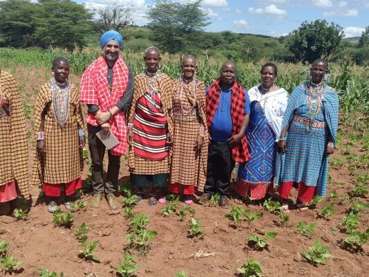 School farms boost food security in Kenya’s drylands