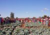 Solidaridad Southern Africa makes history as first Regional Expertise Centre to join the International Fertilizer Association