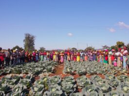 Solidaridad Southern Africa makes history as first Regional Expertise Centre to join the International Fertilizer Association