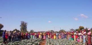 Solidaridad Southern Africa makes history as first Regional Expertise Centre to join the International Fertilizer Association
