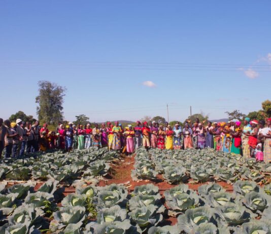 Solidaridad Southern Africa makes history as first Regional Expertise Centre to join the International Fertilizer Association