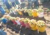 Tomato Shortage Creates ‘Golden Market’ for Rushinga Community Farmers
