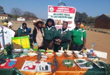 Chimhanda District Show Highlights Role of Traditional Grains in Food Security