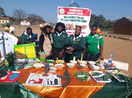Chimhanda District Show Highlights Role of Traditional Grains in Food Security