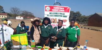 Chimhanda District Show Highlights Role of Traditional Grains in Food Security