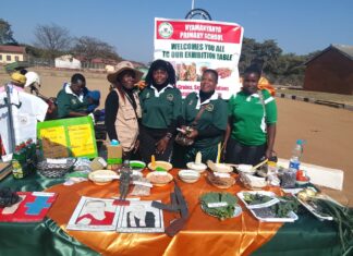 Chimhanda District Show Highlights Role of Traditional Grains in Food Security